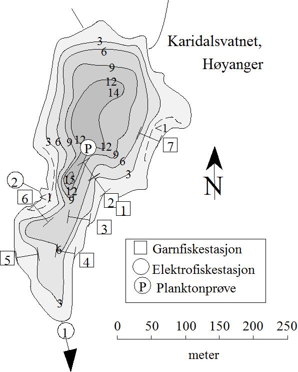 4 KARIDALSVATNET I HØYANGER INNSJØEN Karidalsvatnet (LN 269 94, 1217-3) ligger i Dyrneslivassdraget (8.221Z), 616 moh.