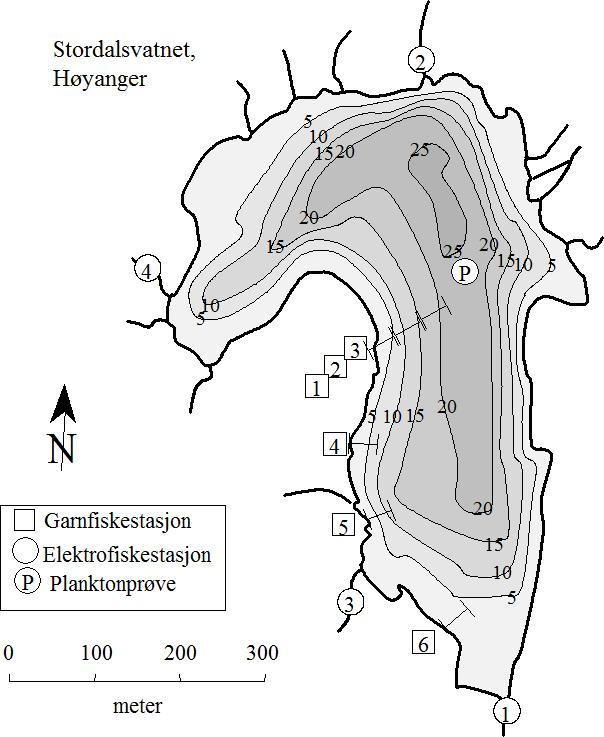 5 STORDALSVATNET I HØYANGER INNSJØEN Stordalsvatnet (LN 27 929, 1217-3) ligger i Dyrneslivassdraget (8.221Z) i Høyanger kommune, 577 moh. Innsjøen har et areal på,17 km².