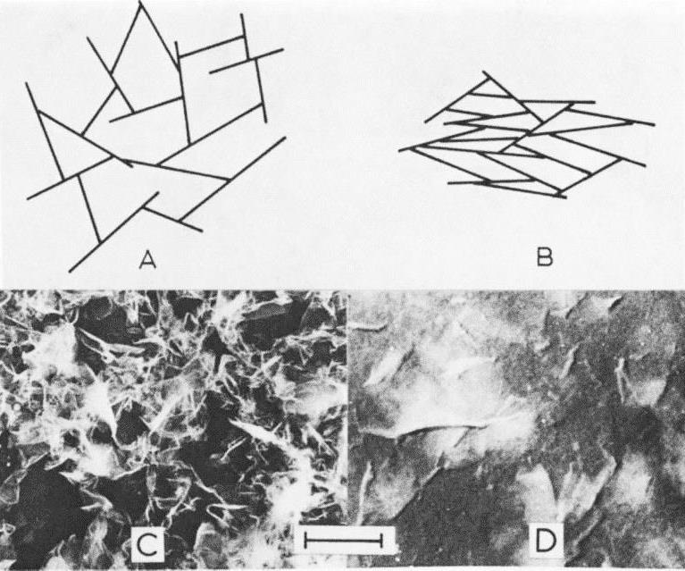 12 Figur 2-4: Mikrobilder av flokkulert (A og C) og dispergert (B og D) struktur (dl.sciencesocieties.org).