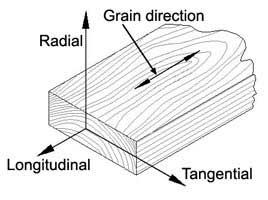 radiāli šķiedru virziens gareniski tangenciāli 12.9. att.