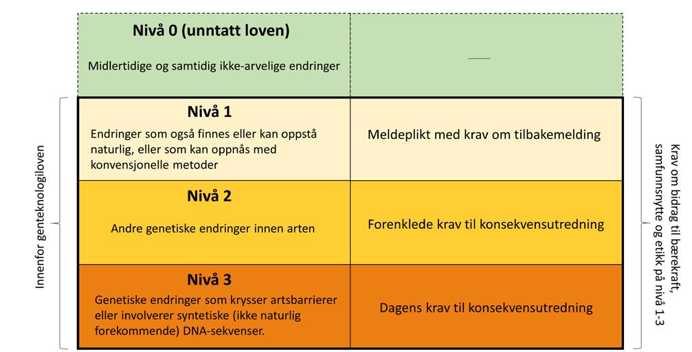 8. ET NIVÅDELT GODKJENNINGSSYSTEM OGSÅ FOR UTSETTING AV GMO-ER? 27 Nivåinndelingen i den første modellen baserer seg på typen og omfanget av en genetisk endring som er gjort i en organisme.