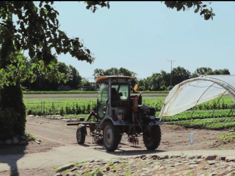 de strukturelle forholdene på et sted, og bestemmer til sammen om steder vokser eller har nedgang.