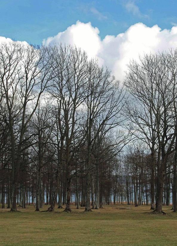 Fokusområde: Natur og miljø Ta vare på og videreutvikle natur og friluftsområder Arealutviklingen er langsiktig og miljøvennlig Ivareta tilstrekkelig med naturområder til sikring av biologisk