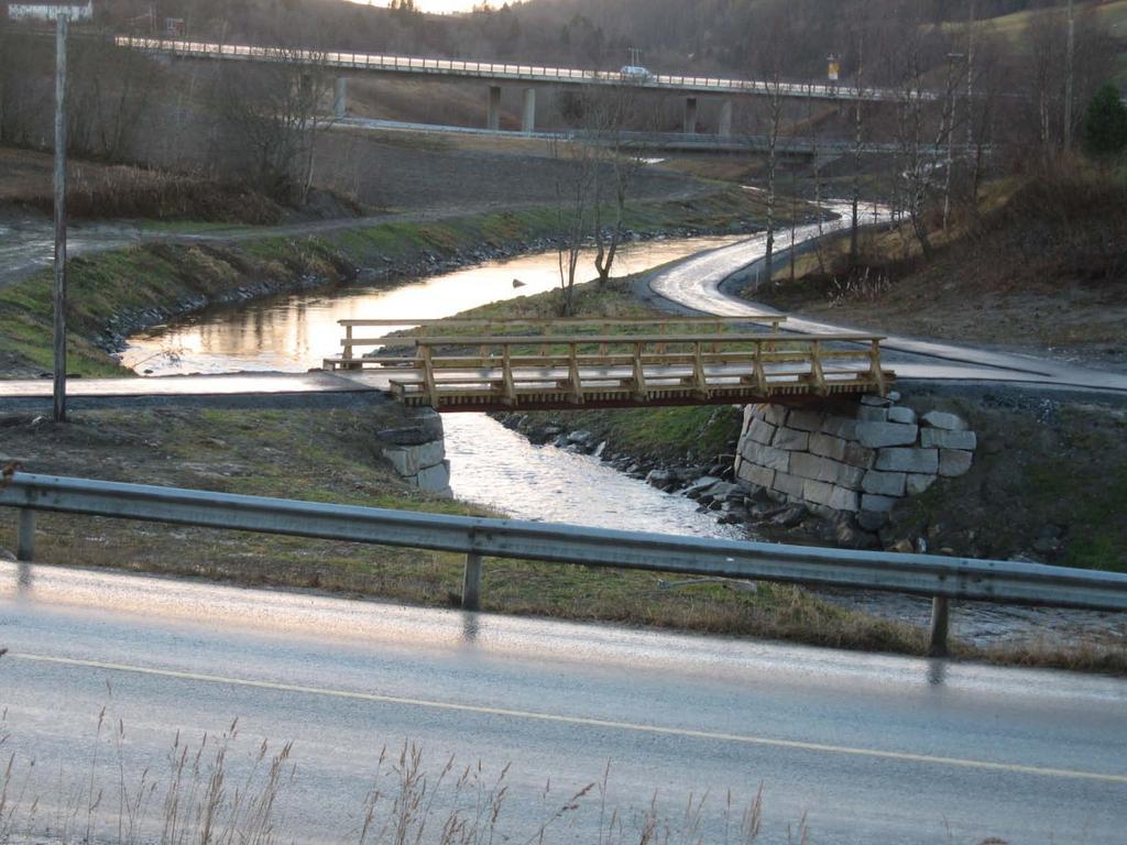 Børselva i Skaun.