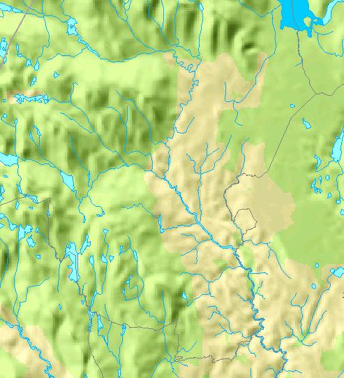 3.2 Leira med sidevassdrag 3.2.1 Øvre Leira De øvre delene av Leiravassdragets nedbørfelt består av sure granittbergarter og barskog, med rikelig innslag av torvmyrer. Dette gjør vannet humusrikt.