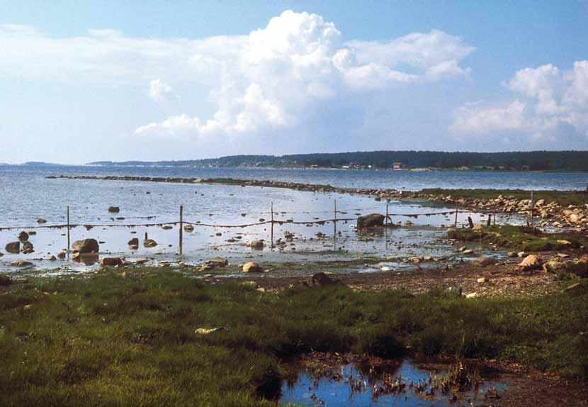 Østfold-Natur nr.