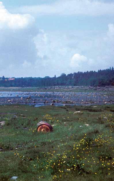 Kurefjordens innerste partier fra strandengene ved Kanaholm en i Rosnesbukten og vestover mot eiendomm ene Søndre og Vestre Kure i Rygge en sensommerdag i 1972. Foto: Viggo Ree.