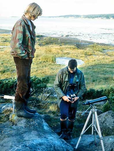 Fuglene på bildet er furasjerende unge myrsniper i marsklandet med muddermark og salturt i Rosnesbukten i Rygge en høstdag i 1972. Foto: Viggo Ree. Oversikt over arbeidsdager: Høsten 1970: 8.8. 9.10.