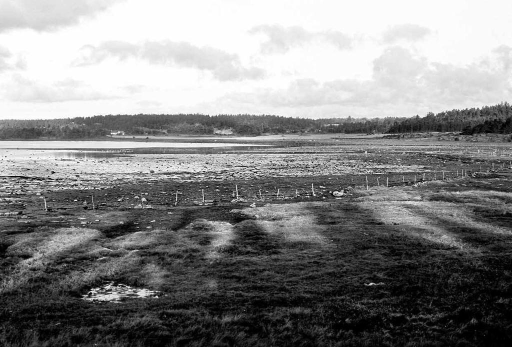 Den nordre og nordvestre delen av Rosnesbukten innerst i Kurefjorden en høstdag i 1972. Bak strandpartiene i vestlig retning ligger eiendommene Søndre og Vestre Kure samt Mellegård i Rygge.