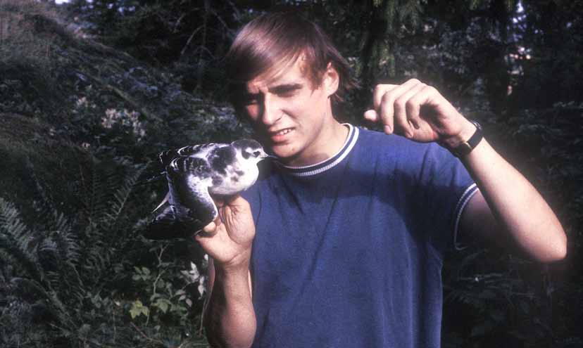 Eivind Sørnes med Norges første ringmerkete dvergmåke fanget i Rosnesbukten i Kurefjorden, Rygge den 9.8.1972. Fuglen har fortsatt sine juvenile drakt (1K). Foto: Viggo Ree.