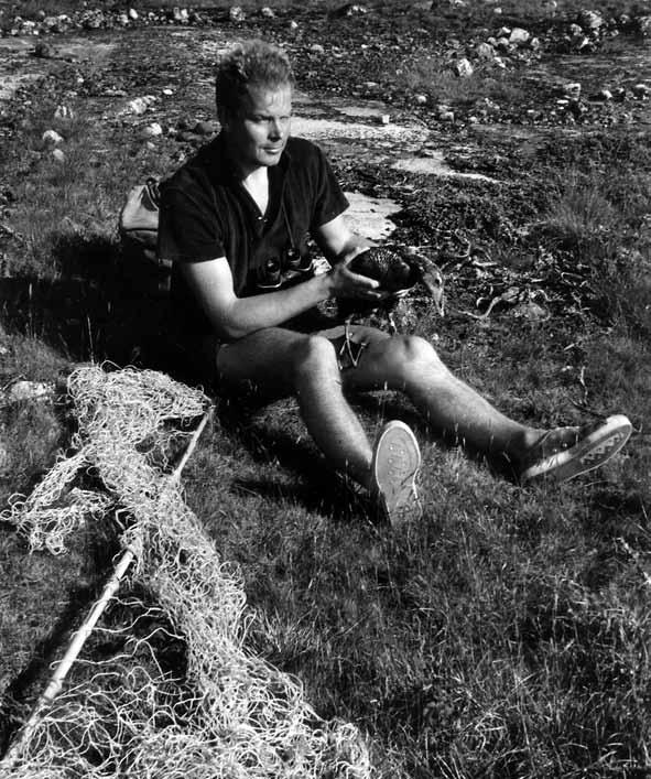 Fra Universitetet i Oslos hovedfagskurs i terrestrisk økologi på Åven i Råde sommeren 1965 under ledelse av Nils-Jarle Ytreberg.