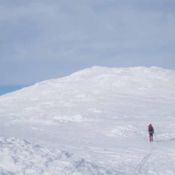 INNHERRED DATO TURMÅL VARIGHET VANSKELIGHETS- GRAD FJELLOMRÅDE TURLEDER 11.-13. mars 18.-22.