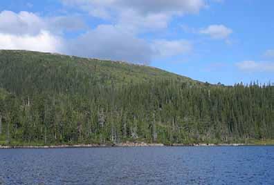 Foto: Arne Heggland Nederst i Granbardalen, rett