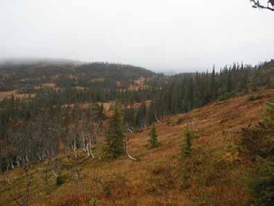 nord mellom Almenningsvola og Åsmundfjellet.