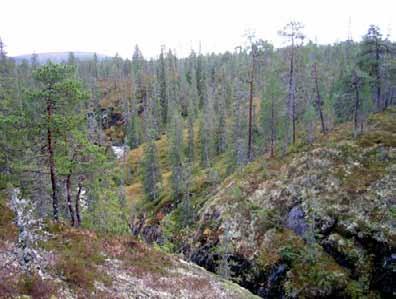 nedbrytningstrinn i Skitholvola S. Foto: Jon T.