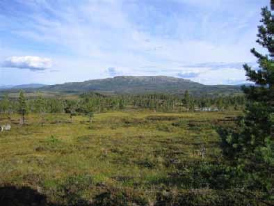 Bilder fra området Høgmannen utvidelse Utsikt fra