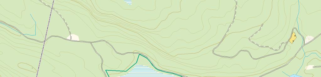 7068000mN Kvitberget Naturfaglige registreringer i forbindelse med vern av skog på