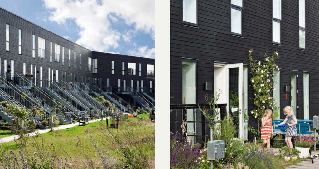 Eng Cohousing