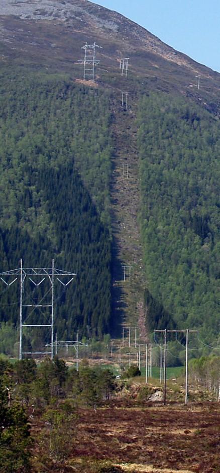 Avbøtende tiltak Trasérydding begrenses Utarbeidelse av miljøplan og transportplan Avbøtende tiltak for å redusere fuglekollisjoner Tilpasning av