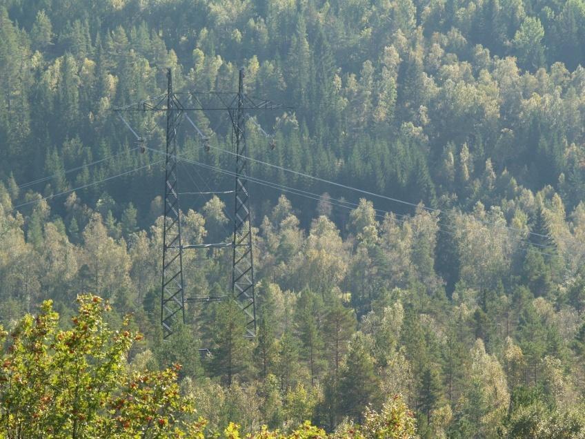 Avbøtende tiltak forts.