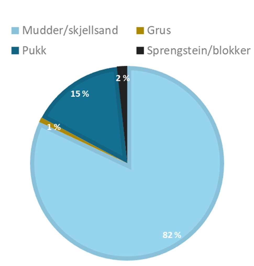 3.1 Sjøbunn Sjøbunnen bestod for det meste av sediment karakterisert som dominert av mudder og skjellsand (82%) samt pukk (15%).