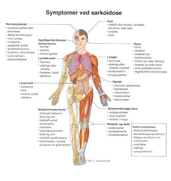 Symtomer vs (u)balanse energisystem Hvorfor har