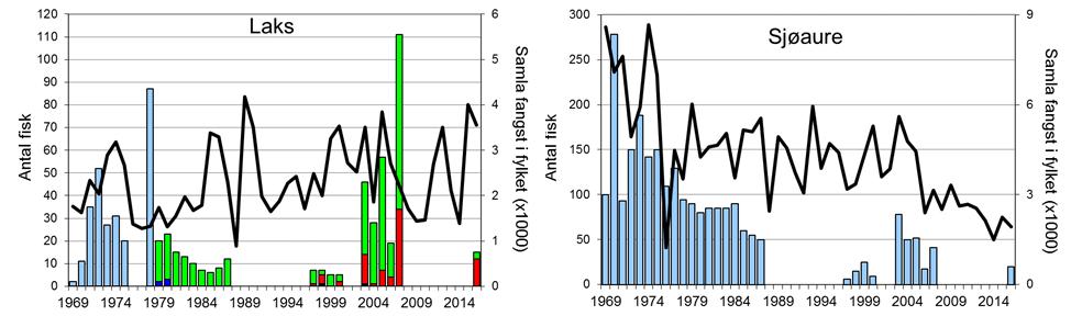 Skjel 2016 Fangststatistikk FANGST OG SKJELPRØVAR I ÅDLANDSVASSDRAGET Fangsten av laks har variert mykje i Ådlandsvassdraget, og det har vore fleire periodar med freding.
