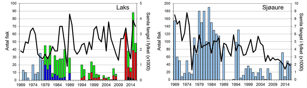 Skjell 2016 FANGST OG SKJELPRØVAR I OMVIKELVA Fangststatistikk I perioden 1969-1989 vart det i gjennomsnitt fanga 24 laks og 98 sjøaure per år (figur 1, stolpar).