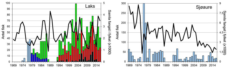 Skjell 2016 FANGST OG SKJELPRØVAR I ÆNESELVA Fangststatistikk I perioden 1969-2016 vart det i gjennomsnitt fanga 38 laks per år (figur 1, stolpar) i Æneselva, men mellomårsvariasjonen har vore stor.