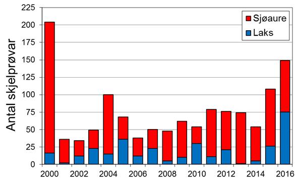 Etter rekordfangsten i 2000 (620 fisk), var fangstane låge ein del år, men utviklinga dei siste åra har vore svært positiv.