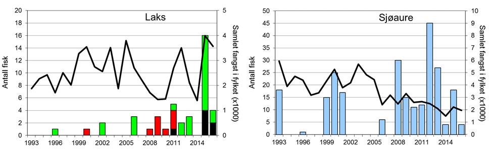 Skjel 2016 Fangststatistikk FANGST OG SKJELPRØVAR I SIMA Det er fleire år utan registrert fangst i Sima i perioden 1993-2016 (figur 1, stolpar).