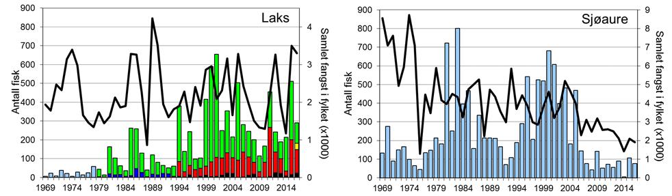 Skjel 2016 Fangststatistikk FANGST OG SKJELPRØVAR I OSELVA Gjennomsnittleg fangst av laks i perioden 1969-2016 er 176 (snittvekt 2,5 kg).