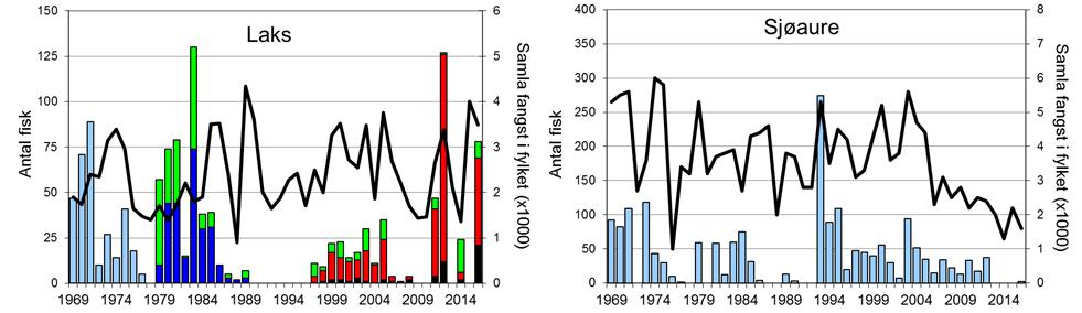 Skjel 2016 Fangststatistikk FANGST OG SKJELPRØVAR I EKSO Gjennomsnittleg årsfangst av laks 1969-2016 var 35 (snittvekt 5,9 kg), men det er fleire år utan registrert fangst (figur 1, stolpar).