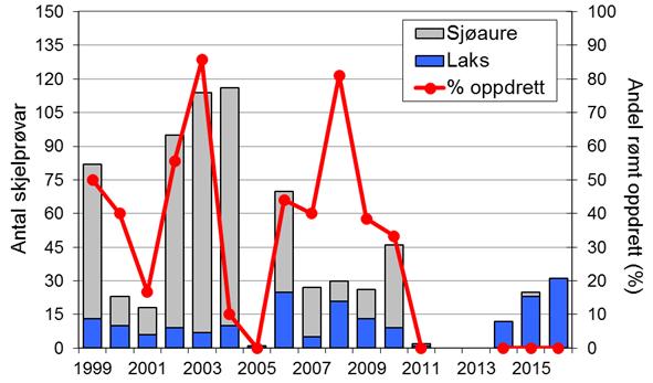 I perioden 1985-2011 var snittfangsten 163 per år, men fangstane avtok vesentleg frå midt på 1990-talet og utover.