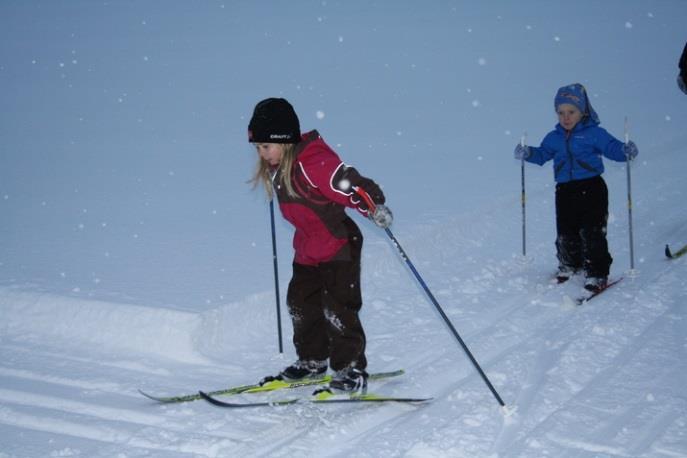 Årsmelding Skigruppa I 2013 har skigruppa arrangert skitrim saman med Bæverfjord i.l. Til saman har det vore sju arrangement fordelt på fem gonger i lysløypa, ein gong på Bele og avslutning i Settemsdalen.
