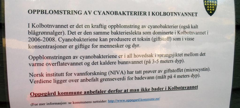 Gjennomsnittlig siktedyp i Kolbotnvannet var på 2,5 meter i 2011.