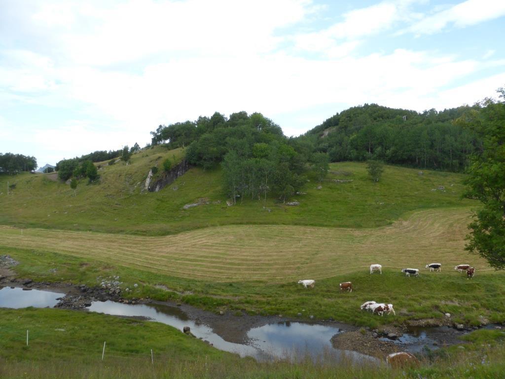 Skjøtselsplan for Gløsen naturbeitemark og Smibakken - Sørværnes sla ttemark, Rødøy kommune, Nordland fylke.