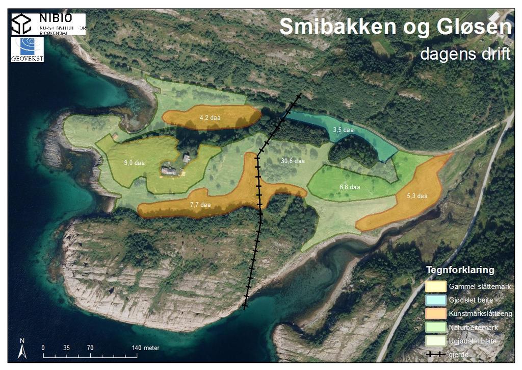 Ønsket endring av dagens skjøtsel: Brukerne er positiv til skjøtsel gjennom økt omfang av slått i slåttemarka på Sørværnes. Tidligere var det mye blomstrende prestekrager i området, bl.