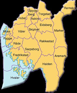 Samlet vurdering Samlet index viser at det samlede funksjonsnivået er noe bedre i Østfold (24%