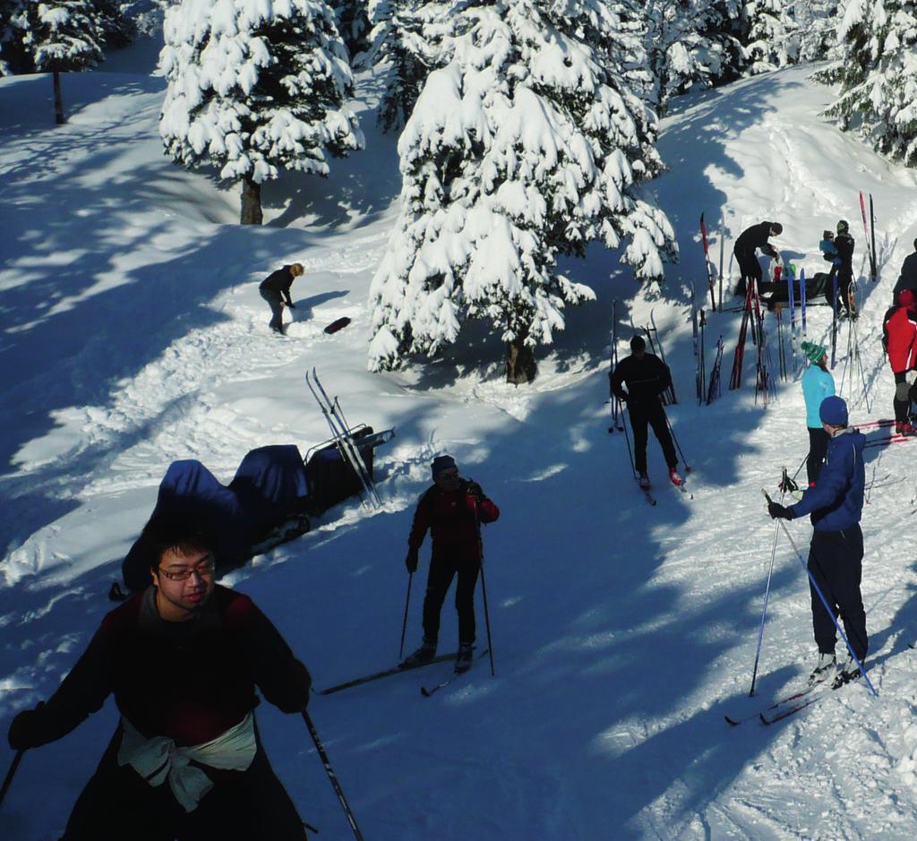 14 flotte merkede turer i Trondheims markaområder og turterreng! Det er 53 år siden vi i Trondhjems Skiklub arrangerte Dagens Løype for første gang. Det ble fort en suksess, som vi har fortsatt siden.