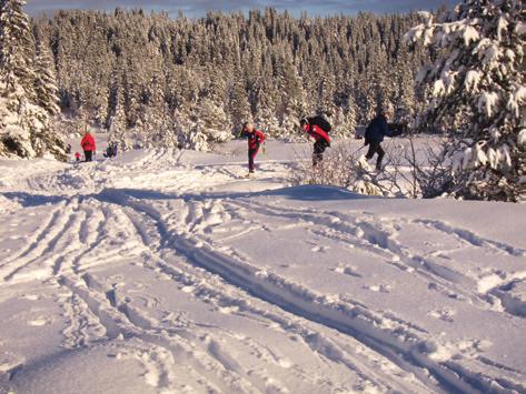 Fjellseter - Elgsethytta 7. april - 8.