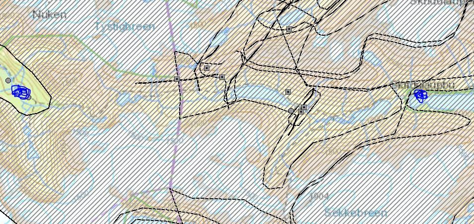 villreinutvalg ønsker derfor at DNT Oslo- og Omegn ikke får løyve Til å bygge ny hytte på Sunndalsseter. Breheimen nasjonalpark har ivaretaking av leveområdet til villrein som eitt av verneføremåla.