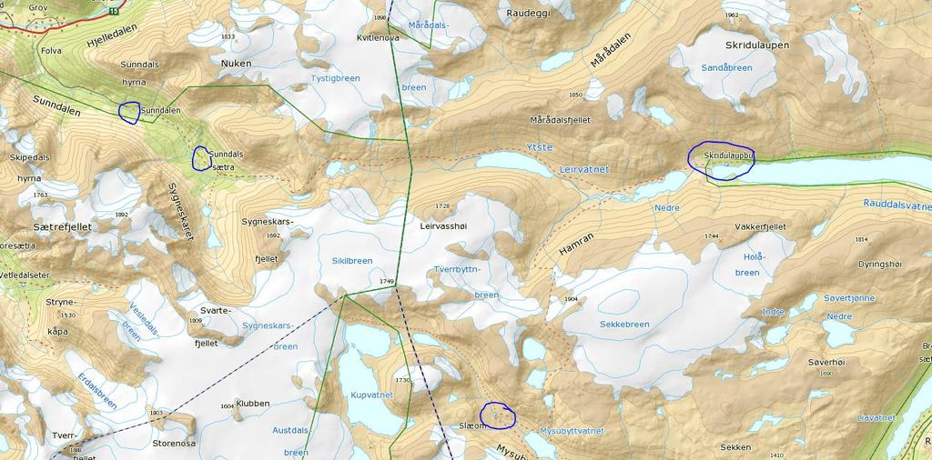 Vurdering På tida då forvaltningsplanen for Jostedalsbreen nasjonalpark vart skriven i 1994 var villreinen ikkje like pressa som den er i dag.