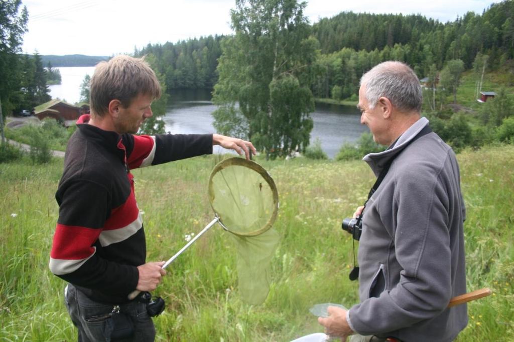 De spiser av skogene mine. Seks gravemaskiner kom og spiste av skogene mine. Gud hjelp mig for en skapning på dem. Hoder uten øyne og øynene i baken.