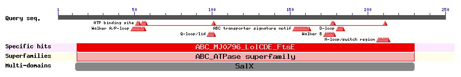 Ifølge operon prediction-tjenesten til MicrobesOnline, ligger arsf og arsg i samme operon (99,8 % sannsynlig), mens arsh ikke ser ut til å tilhøre dette operonet (28,8 % sannsynlig).