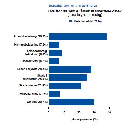 Hva tror du selv er årsak til smertene dine? Som en ser av figur 3 er arbeidsbelastning den hyppigst oppgitte pasientrapporterte årsak til smertene. Figur 3. Selvrapportert smerteårsak.