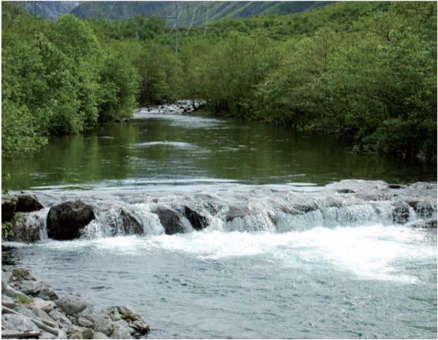 driftsvannføring Standardvilkår (naturforvaltning) HRV og LRV i