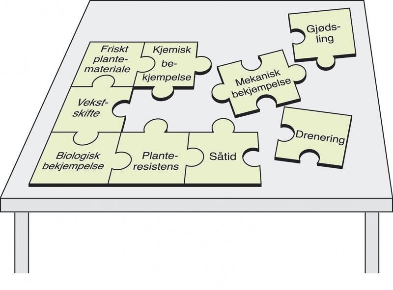 Integrert plantevern kan sammenlignes med et puslespill Kilde: Handtering