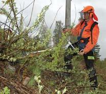 Timber train on the Solør line. Photo: Øystein Grue Clearing vegetation at Bleiken station on the Gjøvik line.