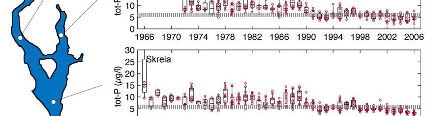 Figur 8. Tidsutviklingen for konsentrasjoner av total-fosfor i Mjøsas øvre vannlag (-1 m) i perioden mai-oktober.